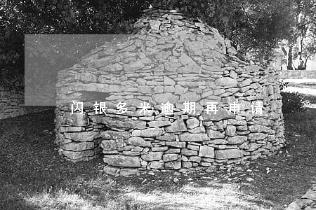 闪银多米逾期再申请 闪银多米逾期再申请