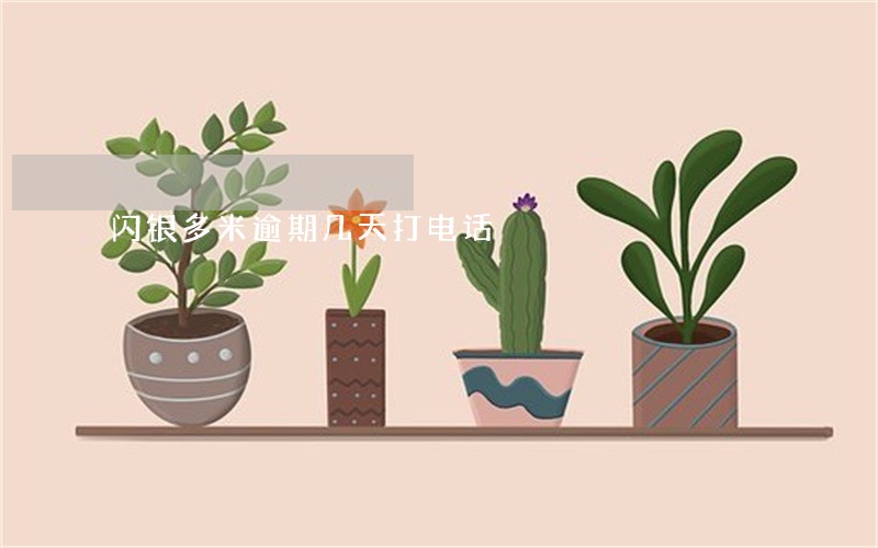 闪银多米逾期几天打电话