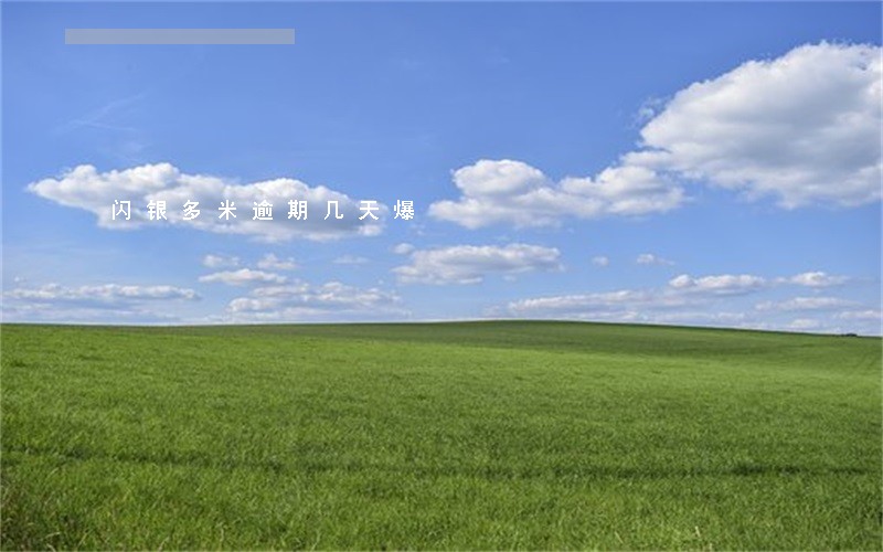 闪银多米逾期几天爆