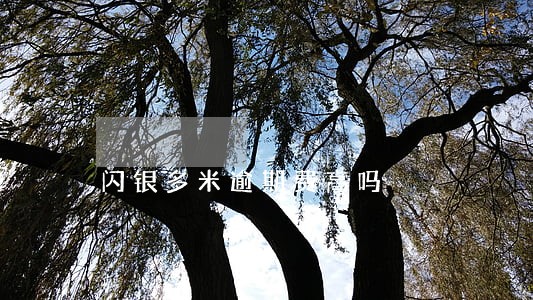 闪银多米逾期费高吗 闪银多米逾期费高吗