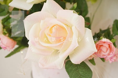 闪银大额贷征信有逾期 闪银大额贷征信有逾期
