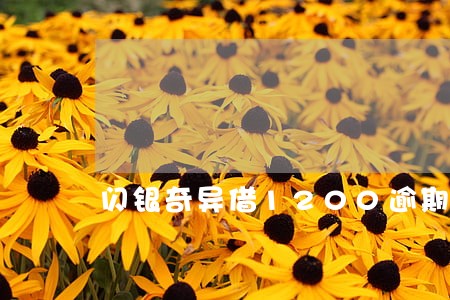 闪银奇异借1200逾期 闪银奇异借1200逾期