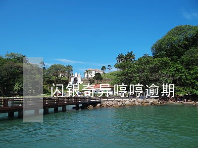 闪银奇异哼哼逾期 闪银奇异哼哼逾期