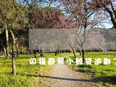 闪银奇异小鲸贷逾期了 闪银奇异小鲸贷逾期了