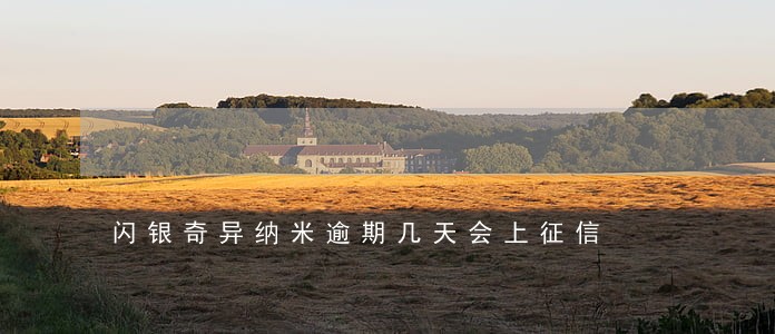 闪银奇异纳米逾期几天会上征信 闪银奇异纳米逾期几天会上征信