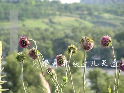 闪银奇异超过几天逾期 闪银奇异超过几天逾期