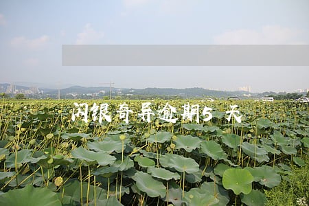 闪银奇异逾期5天 闪银奇异逾期5天