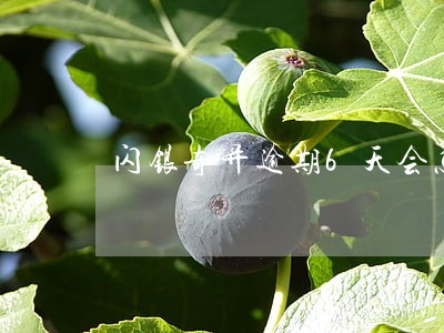 闪银奇异逾期6天会怎么样 闪银奇异逾期6天会怎么样
