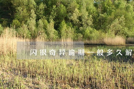 闪银奇异逾期一般多久解封 闪银奇异逾期一般多久解封