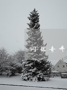 闪银奇异逾期三年 闪银奇异逾期三年