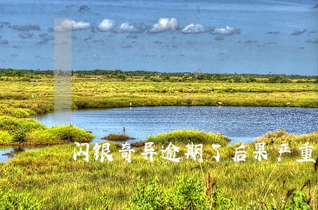 闪银奇异逾期了后果严重吗 闪银奇异逾期了后果严重吗