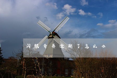 闪银奇异逾期了怎么办 闪银奇异逾期了怎么办