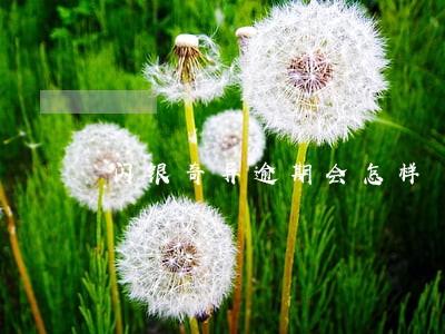 闪银奇异逾期会怎样 闪银奇异逾期会怎样