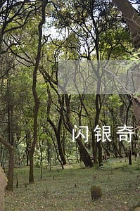 闪银奇异逾期几天爆通讯录 闪银奇异逾期几天爆通讯录