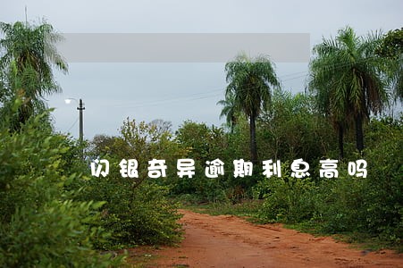 闪银奇异逾期利息高吗 闪银奇异逾期利息高吗