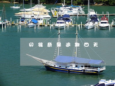 闪银奇异逾期四天 闪银奇异逾期四天