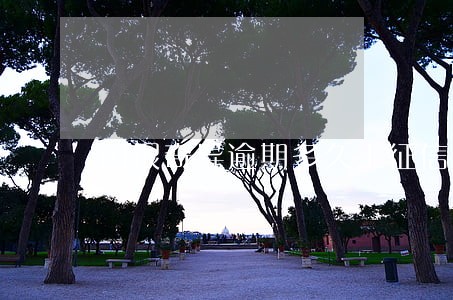 闪银奇异逾期多久上征信