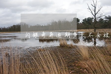闪银奇异逾期多久不会被催收 闪银奇异逾期多久不会被催收