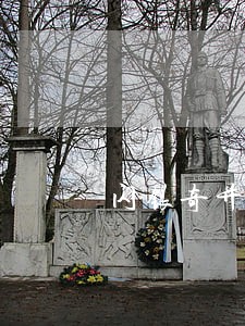 闪银奇异逾期多久会