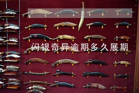 闪银奇异逾期多久展期 闪银奇异逾期多久展期