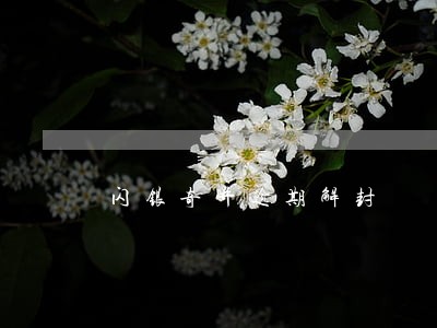 闪银奇异逾期解封 闪银奇异逾期解封
