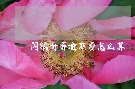 闪银奇异逾期费怎么算 闪银奇异逾期费怎么算