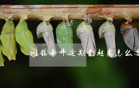 闪银奇异逾期费超高怎么办