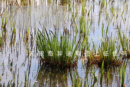 闪银奇异逾期还上征信吗 闪银奇异逾期还上征信吗