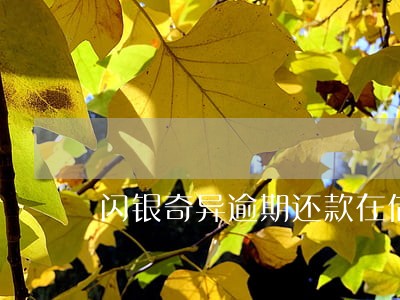 闪银奇异逾期还款在借款 闪银奇异逾期还款在借款