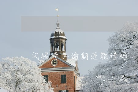 闪银奇异逾期还能借吗 闪银奇异逾期还能借吗
