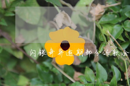 闪银奇异逾期部分还款会怎么样 闪银奇异逾期部分还款会怎么样