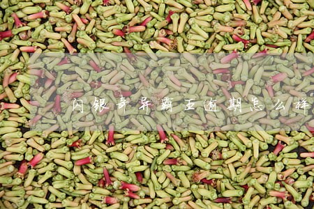 闪银奇异霸王逾期怎么样 闪银奇异霸王逾期怎么样