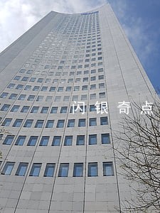 闪银奇点逾期多久 闪银奇点逾期多久