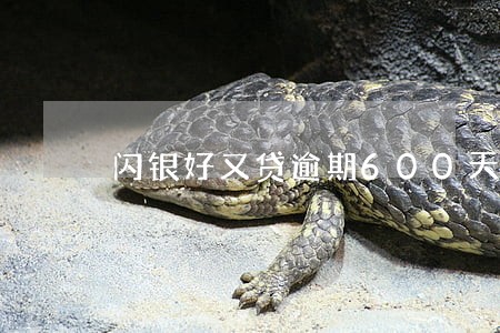 闪银好又贷逾期600天 闪银好又贷逾期600天