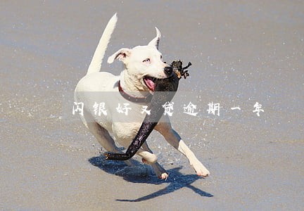 闪银好又贷逾期一年 闪银好又贷逾期一年