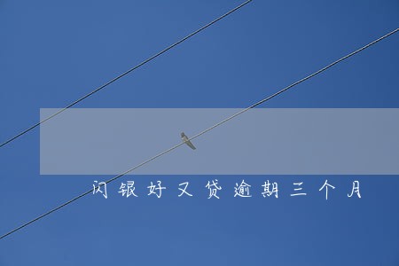 闪银好又贷逾期三个月 闪银好又贷逾期三个月