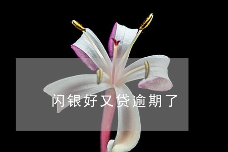 闪银好又贷逾期了 闪银好又贷逾期了