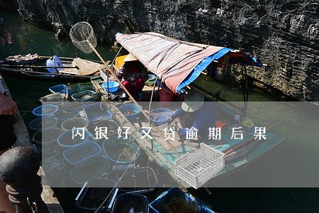 闪银好又贷逾期后果 闪银好又贷逾期后果