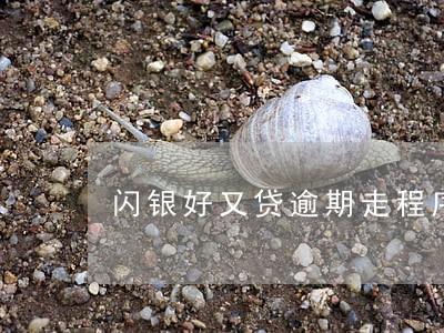 闪银好又贷逾期走程序 闪银好又贷逾期走程序