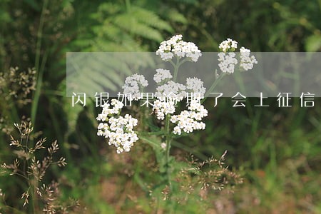 闪银如果逾期了会上征信 闪银如果逾期了会上征信