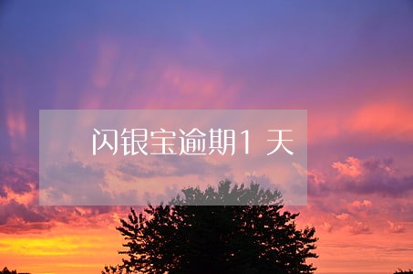闪银宝逾期1天