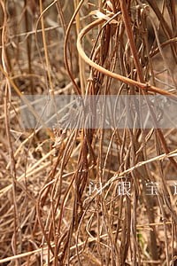 闪银宝逾期上征信吗 闪银宝逾期上征信吗