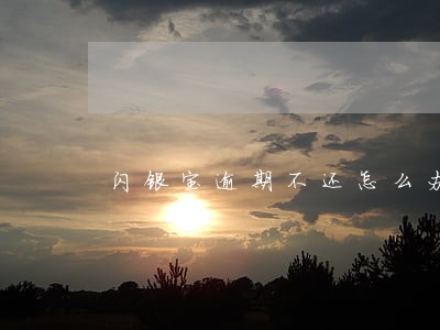 闪银宝逾期不还怎么办 闪银宝逾期不还怎么办