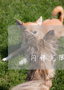 闪银宽限期不算逾期吧