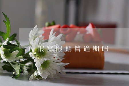 闪银宽限期算逾期吗 闪银宽限期算逾期吗
