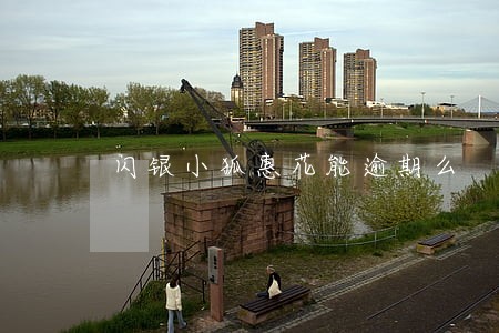 闪银小狐惠花能逾期么