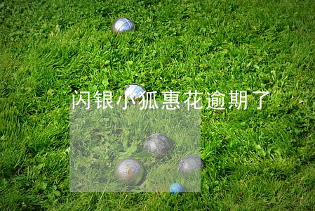闪银小狐惠花逾期了