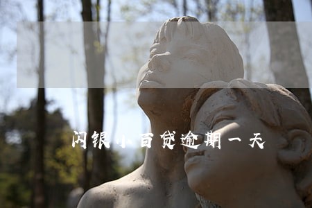 闪银小百贷逾期一天 闪银小百贷逾期一天