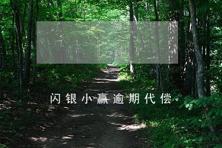 闪银小赢逾期代偿 闪银小赢逾期代偿