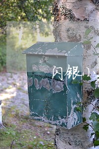 闪银小闪贷逾期翻倍 闪银小闪贷逾期翻倍
